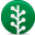 Newsvine ForestGreen icon