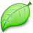 Leaf LightGreen icon