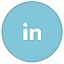 Linkedin Icon