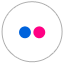 flickr Icon