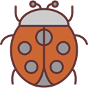 bug, ladybug, insect, Animal Kingdom, Animals Chocolate icon