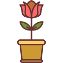 rose, nature, pot, blossom, Botanical, garden, Flower Black icon