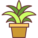 plant, blossom, Botanical, pot, nature, garden Black icon