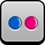 flickr LightGray icon