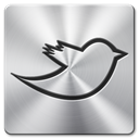 twitter Silver icon