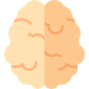 Brain, Brain Anterior, Body Organ, medical, Body Part, Human Brain, Anterior Part, people Khaki icon