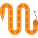 Animals, snake, zoo, Animal Kingdom, mammal, Wild Life Coral icon