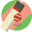 Game, Ball, Team Sports, sports, Cricket, bat DarkSalmon icon