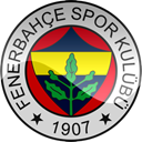 fenerbahce LightGray icon