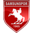 samsunspor Icon