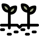 Sprouts, gardening, Sprout, Tree, Farming, Growing Seed, nature Black icon