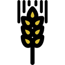 Grain, grains, food, Wheat Plant, Wheat Grain, Wheat, nature Black icon