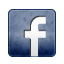 Facebook LightSlateGray icon