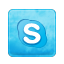 Skype Icon