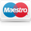 maestro Icon