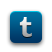 Tumblr Teal icon
