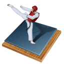 taekwondo Black icon