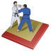 Judo Black icon