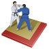 Judo Icon