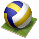 volleyball Black icon