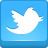 twitter DodgerBlue icon