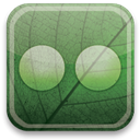 flickr, green, eco DarkSeaGreen icon