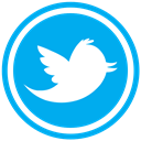 twitter DeepSkyBlue icon