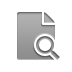 zoom, document Icon