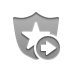 security, right DarkGray icon