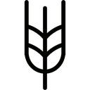 grains, Wheat Plant, Wheat, food, nature, Wheat Grain, Grain Black icon