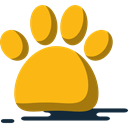 Print, Animals, Footprint, dog, Cat, Pawprint Orange icon