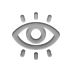 Eye, red Gray icon