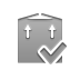 Box, send, checkmark Icon