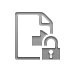transfer, File, Lock, open Gray icon