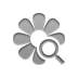 zoom, Flower Gray icon