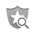 security, zoom Icon