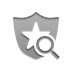 security, zoom DarkGray icon