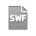 File, Format, swf Icon
