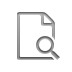 zoom, document Icon