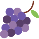Fruit, fruits, Bouquet, Berry, food, Grapes, Berries, grape Black icon