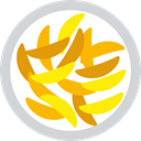 fried, food, Fry, Potatoes, junk food LightGray icon