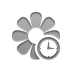 Flower, Clock DarkGray icon