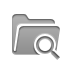 zoom, Folder Gray icon