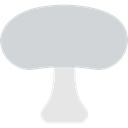 nature, Muscaria, Mushroom, Fungi, food LightGray icon