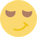 Emoticon, Arrogant, Face, Vain, interface, smug Khaki icon