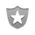 security DarkGray icon