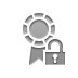 Certificate, open, Lock Gray icon