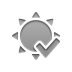 sun, checkmark Gray icon