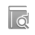 zoom, diary Gray icon