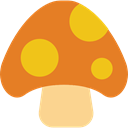 Fungi, Mushroom, food, nature, Muscaria Chocolate icon